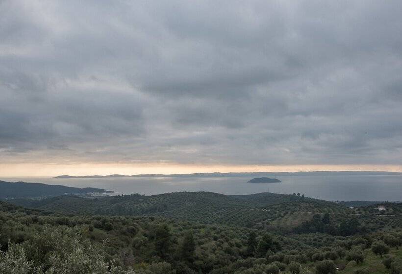 Pensiune Chorostasi Guest House