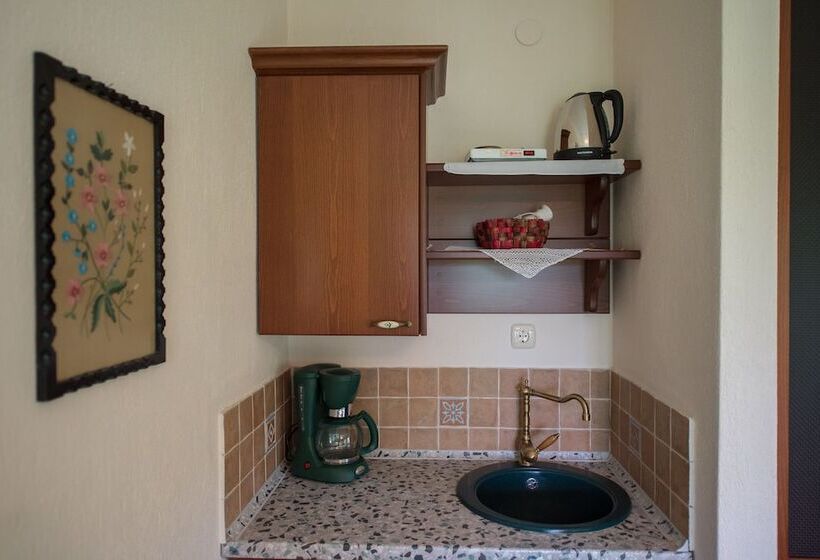 Pensiune Chorostasi Guest House