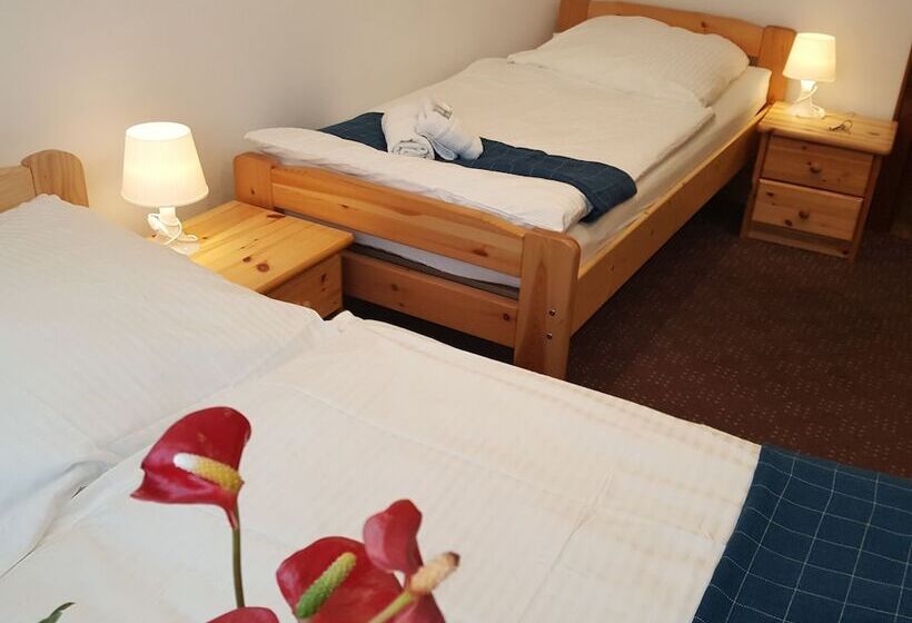 ペンション Gästehaus Am Schloss Sayn