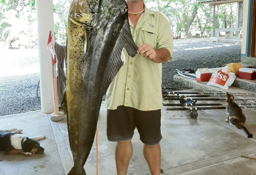 مبيت وإفطار Casa Lajagua