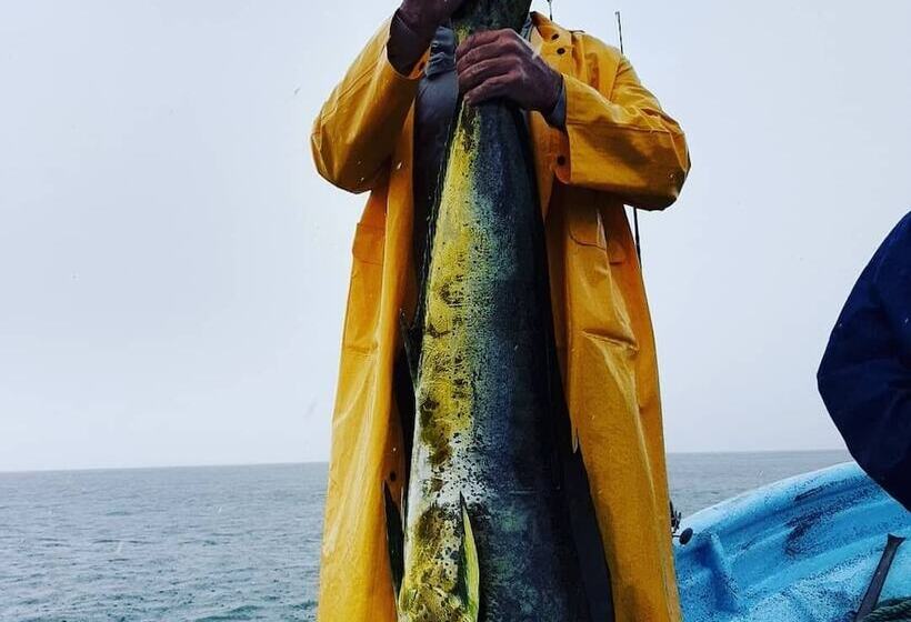 مبيت وإفطار Casa Lajagua