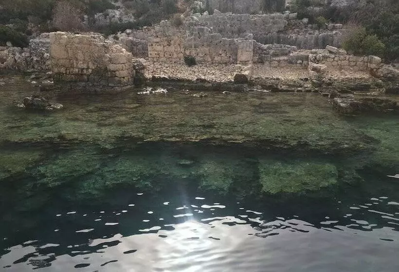 Gonul Pansiyon