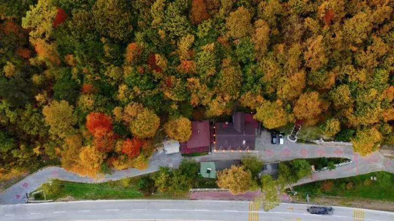 ホテル Abant Yayla Dagevi