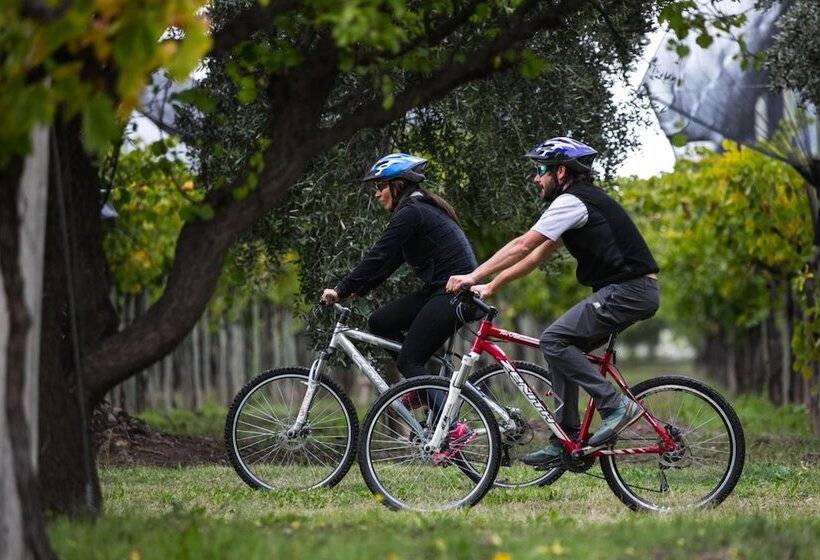 Hotel Azalea Luxury Lodge