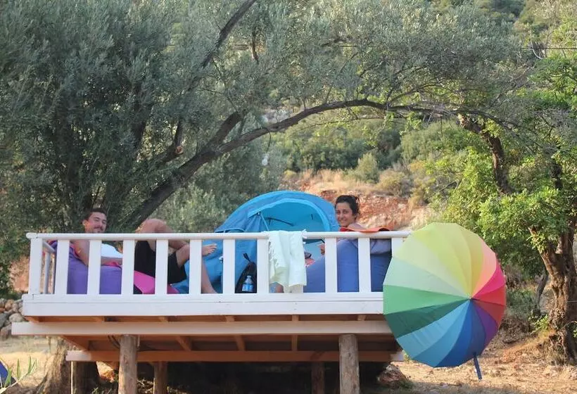 ホテル Can Mocamp