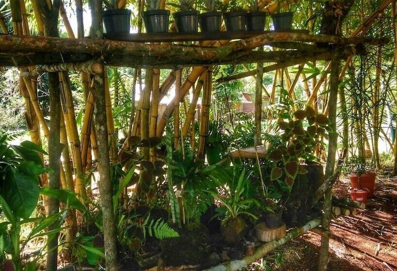 בית מלון כפרי Mocona Guazu