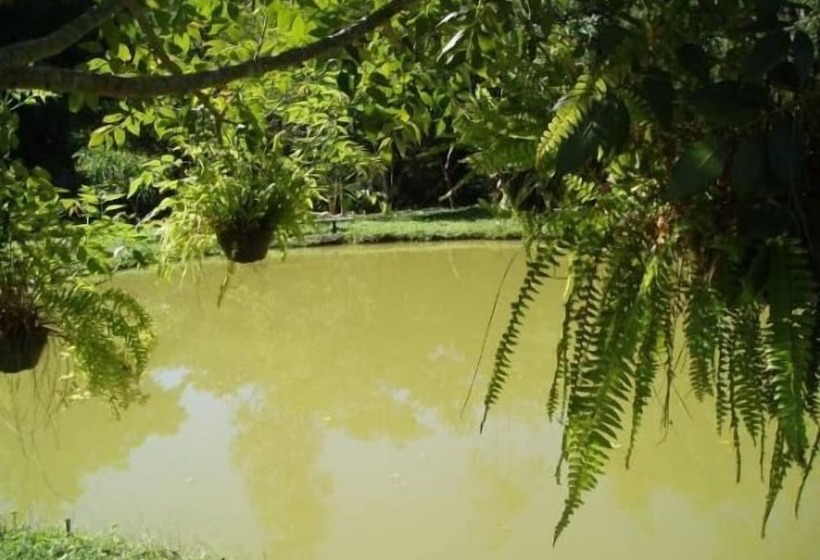 호텔 Pousada Villa Pinhal