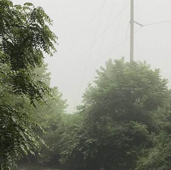 田舎風ホテル Carolina River Ranch