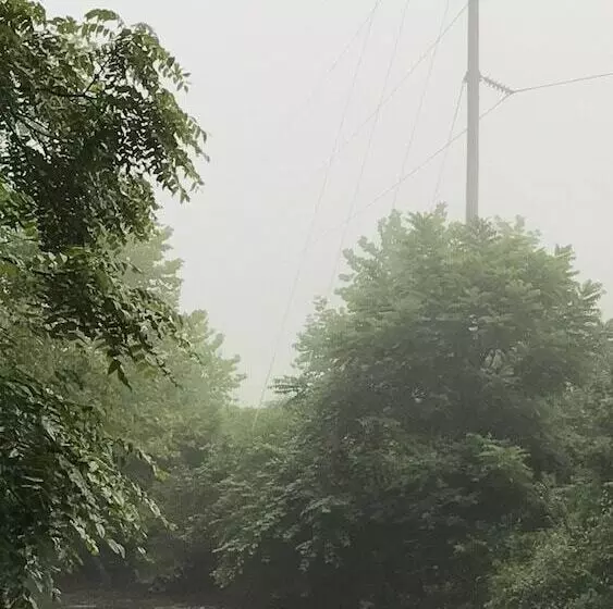 田舎風ホテル Carolina River Ranch