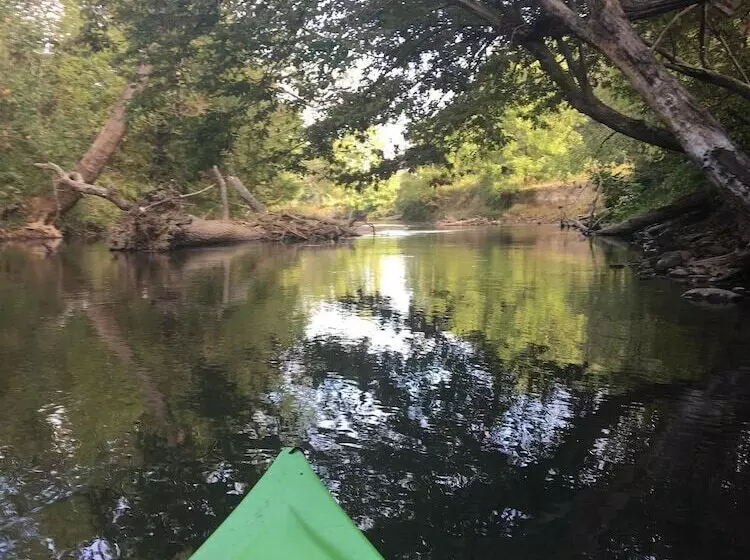 田舎風ホテル Carolina River Ranch