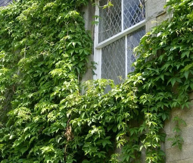 Hotelli Traquair Arms