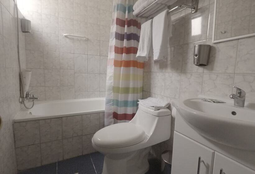 酒店 Ventura Chillan