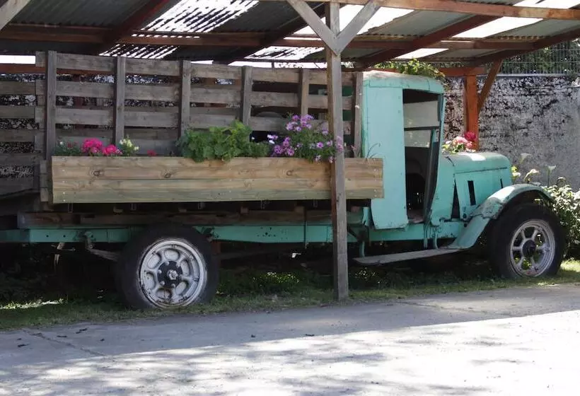 ホテル Ventura Chillan