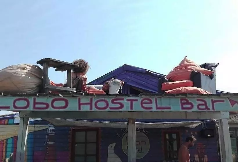 Lobo Hostel Bar