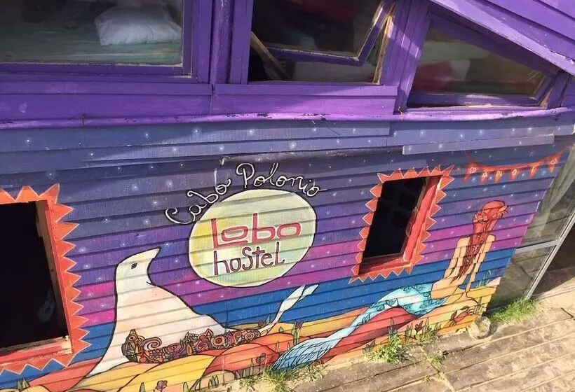 Lobo Hostel Bar