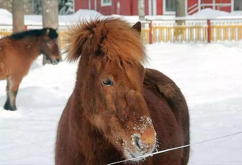 Majatalo Aapiskirja
