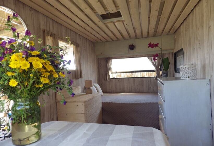 פנסיון La Cera Farm Camping B&b