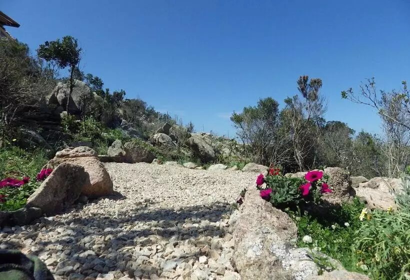 Majatalo La Cera Farm Camping B&b