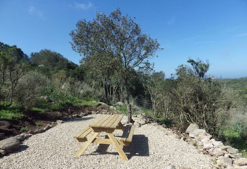 פנסיון La Cera Farm Camping B&b