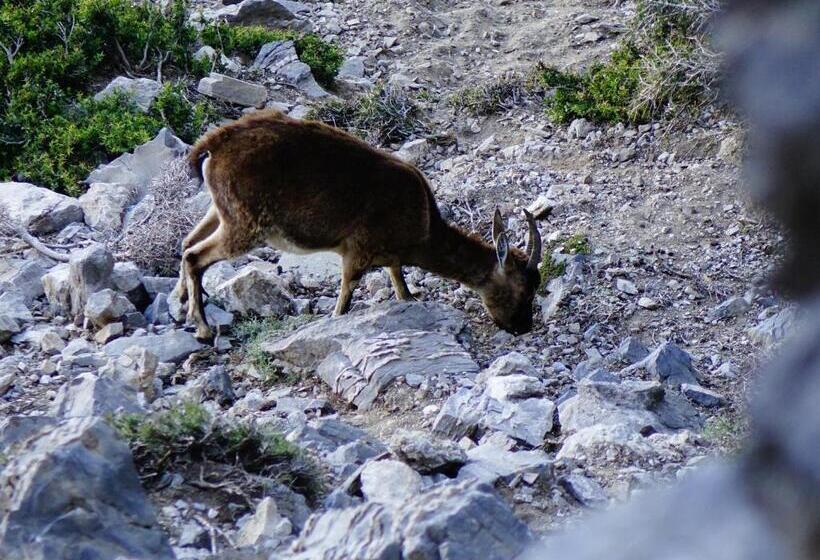 Пансион Paralia Guest House