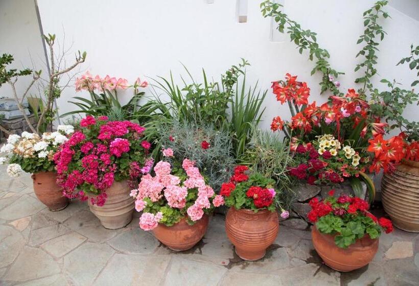 Пансион Paralia Guest House