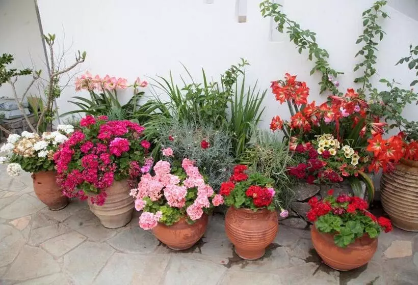 Majatalo Paralia Guest House
