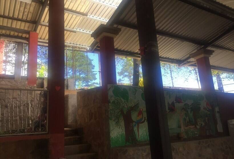 Real Casa Grande Bed & Breakfast