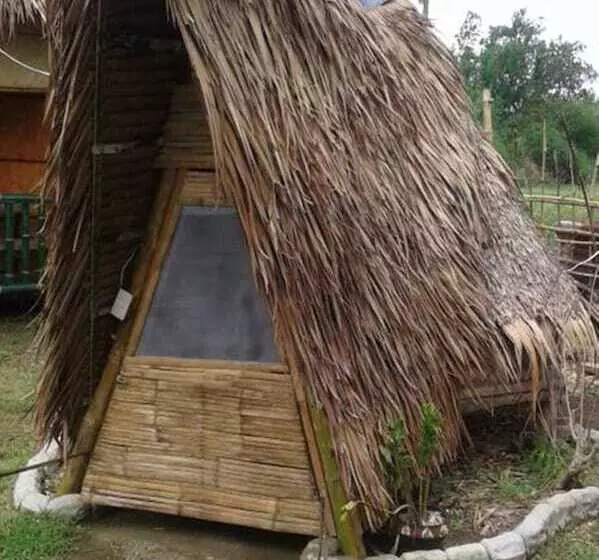 Treasure Isle Guesthouse   Hostel