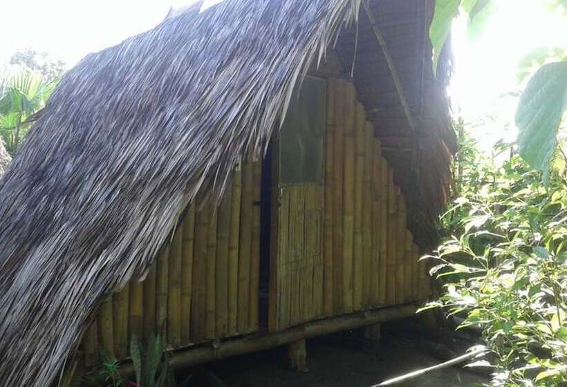 Treasure Isle Guesthouse Hostel