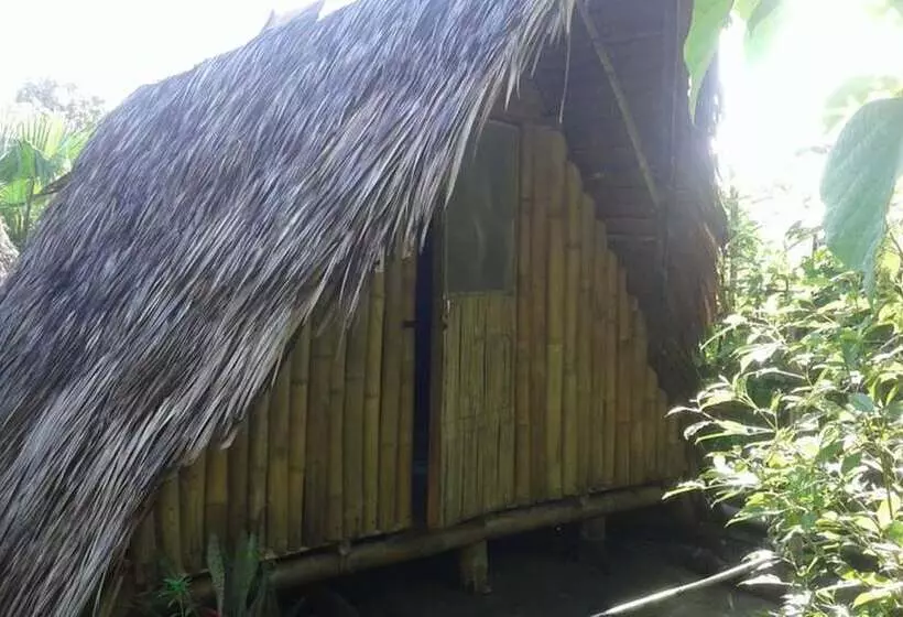 Treasure Isle Guesthouse   Hostel