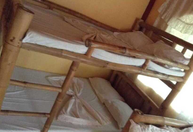 Treasure Isle Guesthouse   Hostel