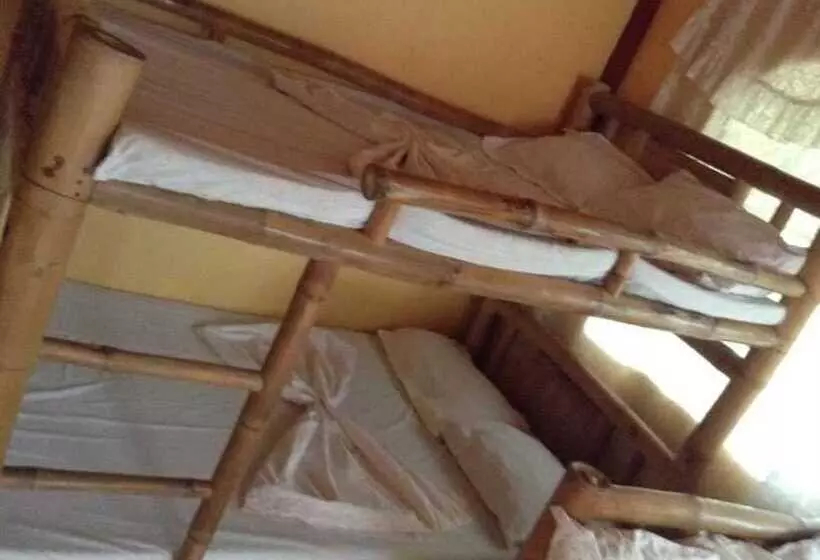 Treasure Isle Guesthouse   Hostel