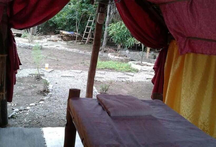 Treasure Isle Guesthouse Hostel