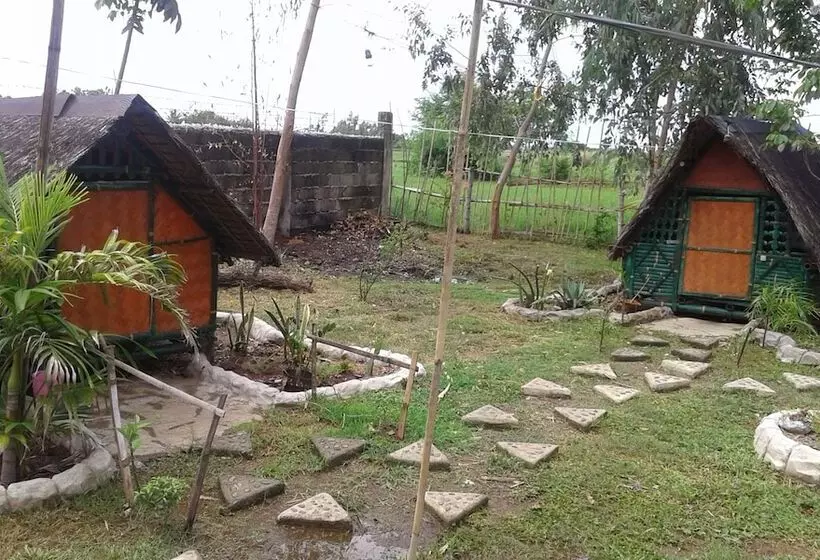 Treasure Isle Guesthouse   Hostel