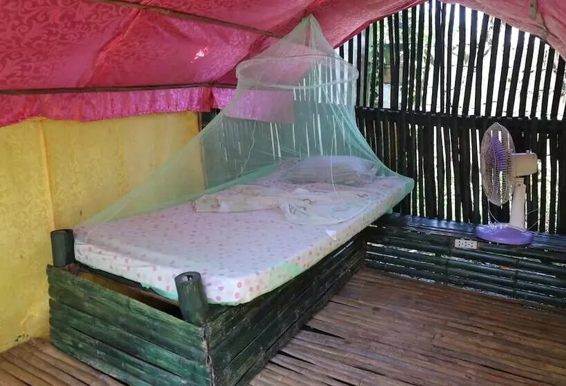 Treasure Isle Guesthouse   Hostel
