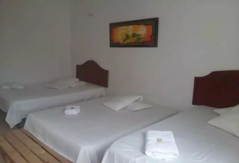 Bananas Hostel