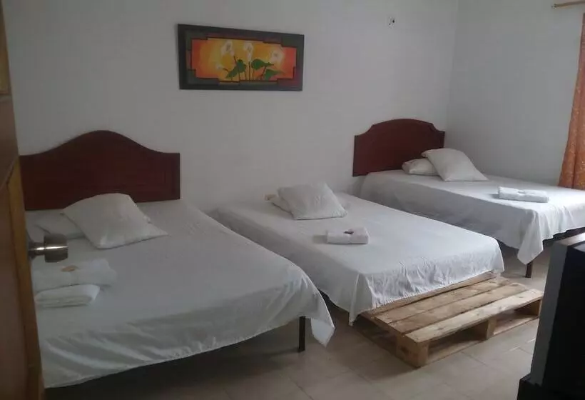 Bananas Hostel
