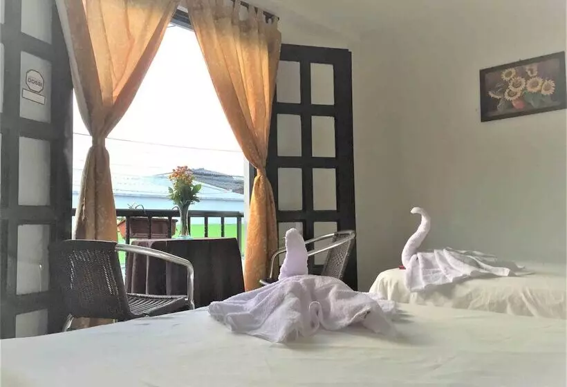 Bananas Hostel