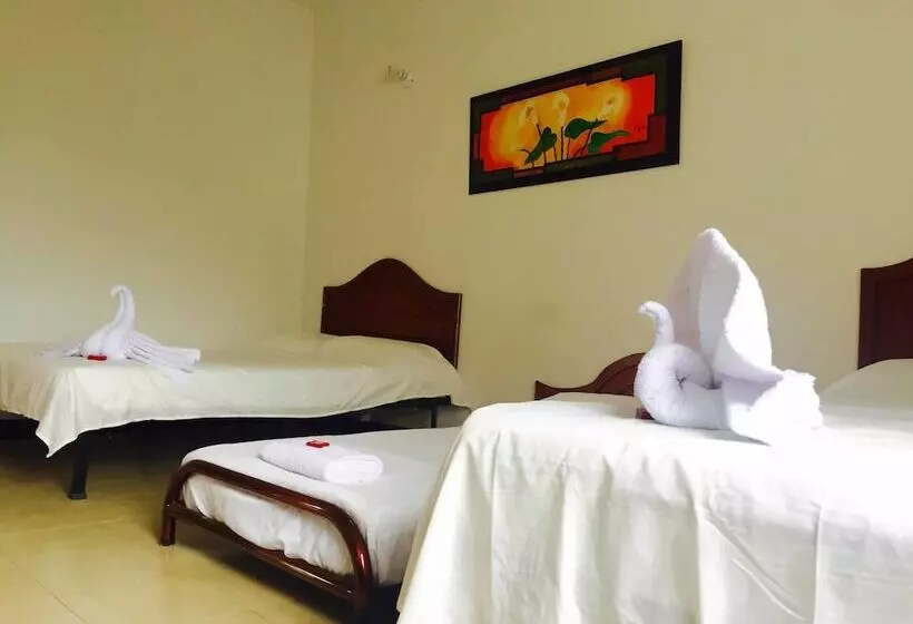 Bananas Hostel