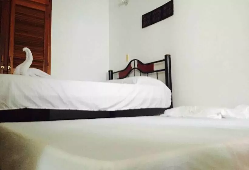 Bananas Hostel