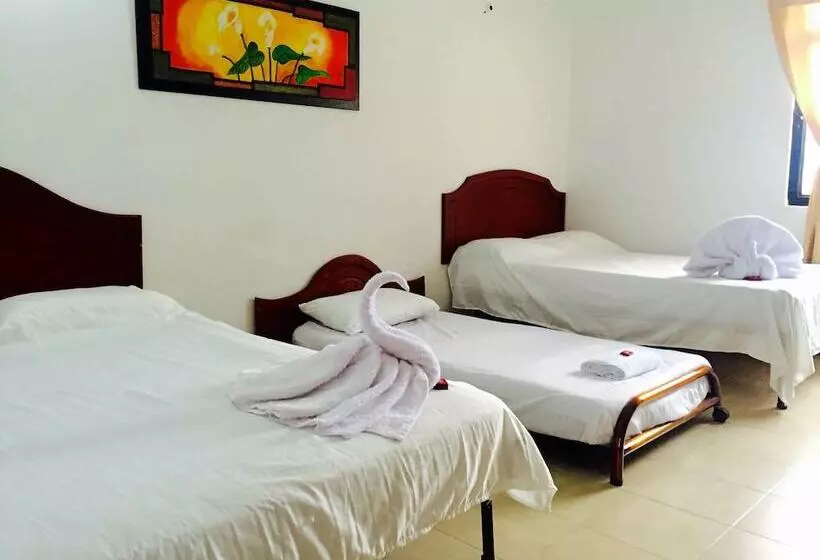 Bananas Hostel