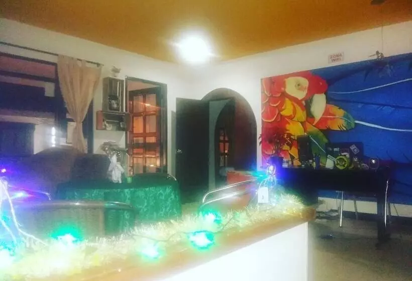 Bananas Hostel