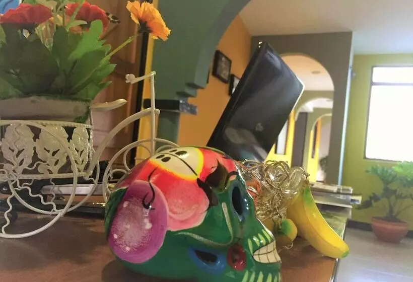 Bananas Hostel