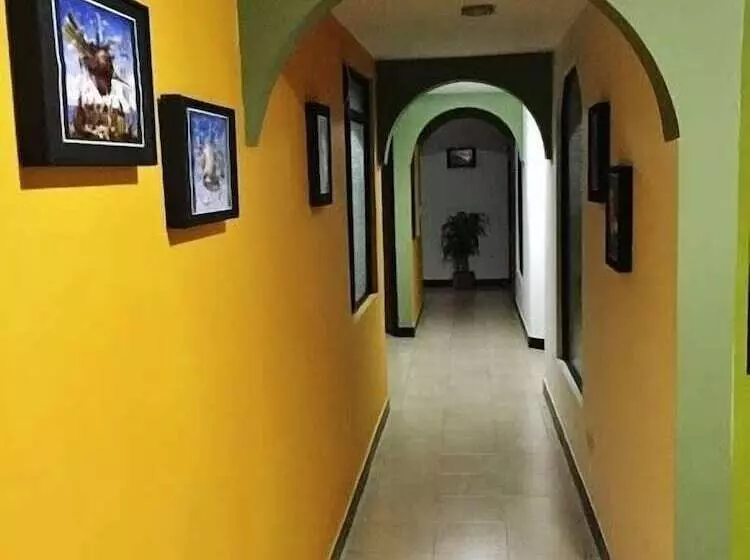 Bananas Hostel