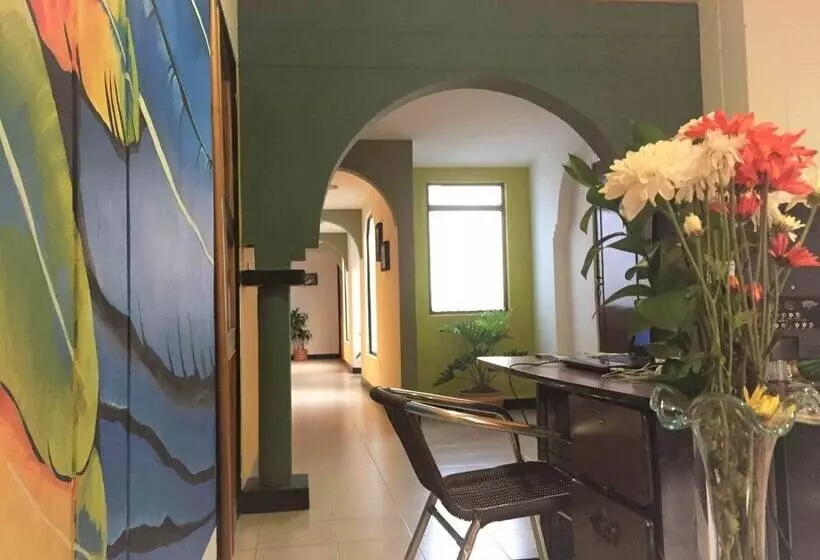 Bananas Hostel