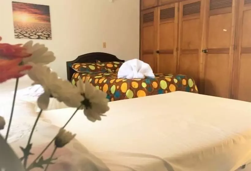 Bananas Hostel