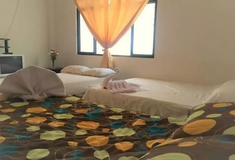 Bananas Hostel