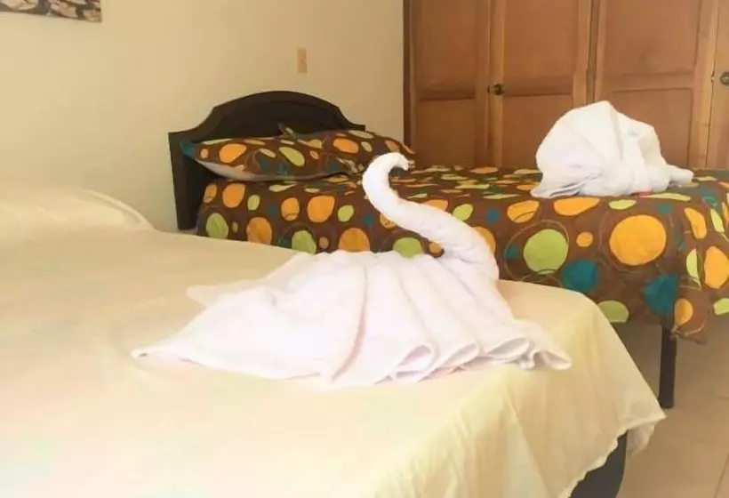 Bananas Hostel