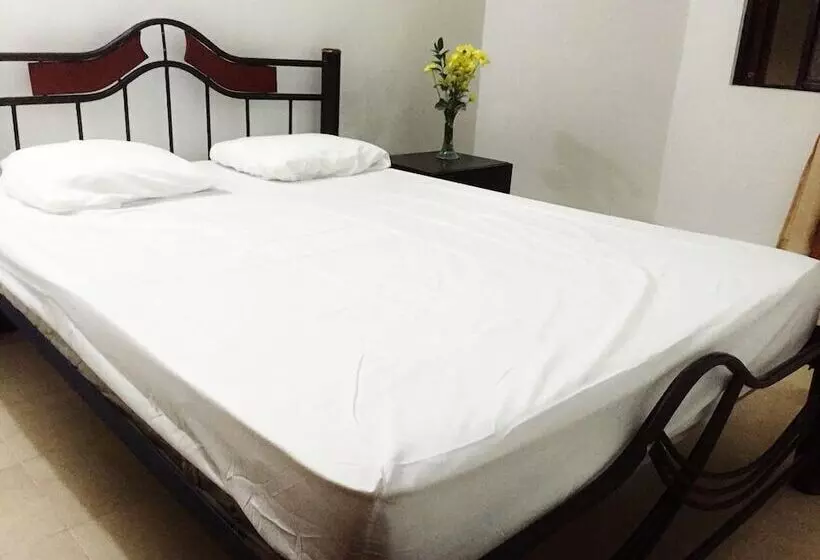 Bananas Hostel