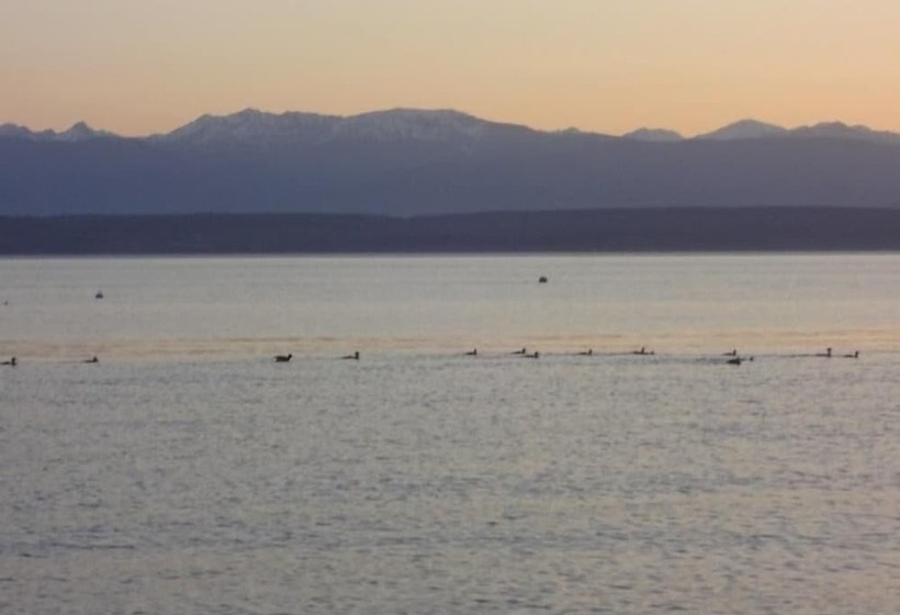 Beachfront Mutiny Bay Cabin